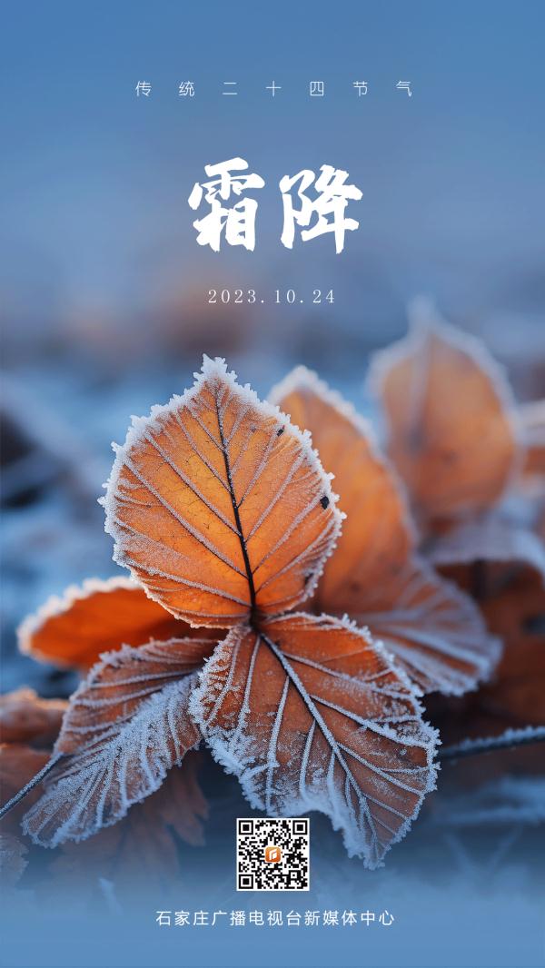 秋即逝，冬将至~石家庄马上要降温！