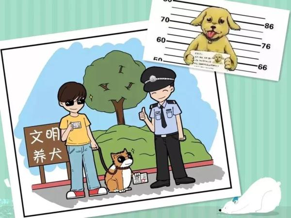 注意！这33种烈性犬，昆明禁养