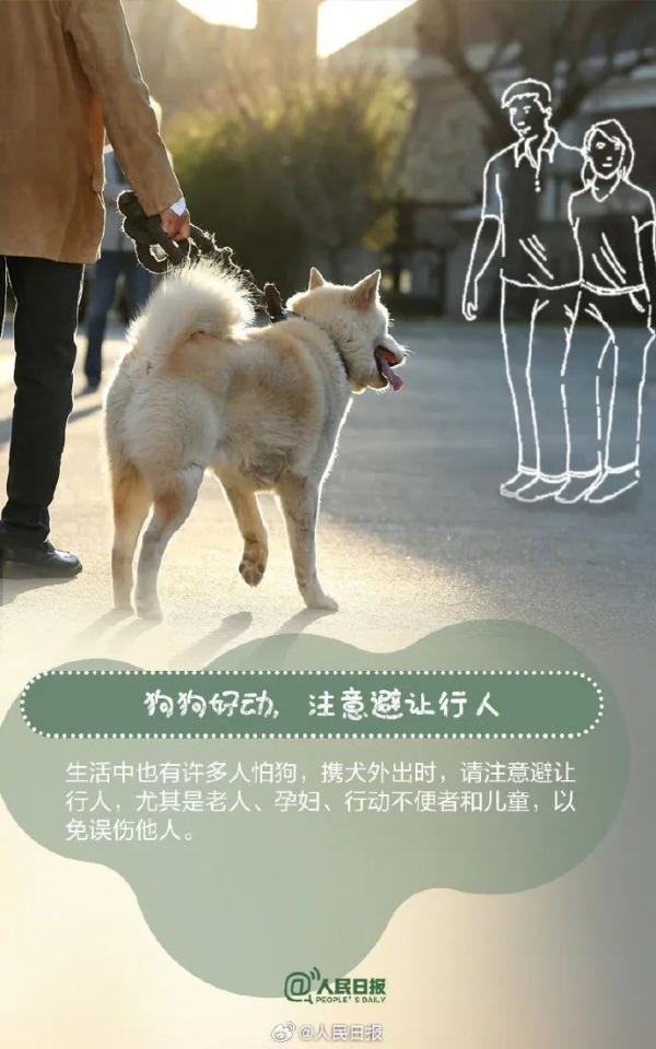 注意！这33种烈性犬，昆明禁养
