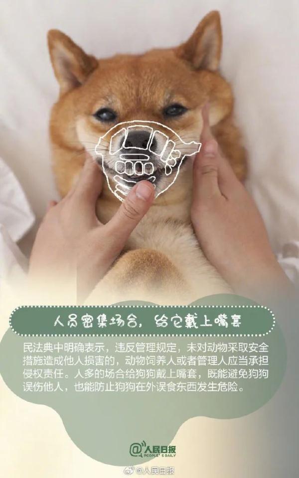注意！这33种烈性犬，昆明禁养