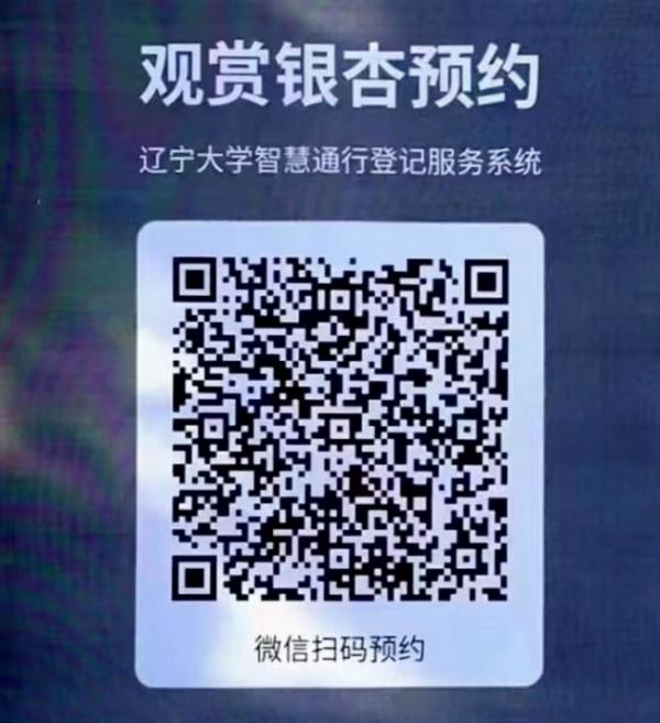 沈城银杏最佳观赏期到了！沈阳又一所大学：本周末和下周末可以预约！