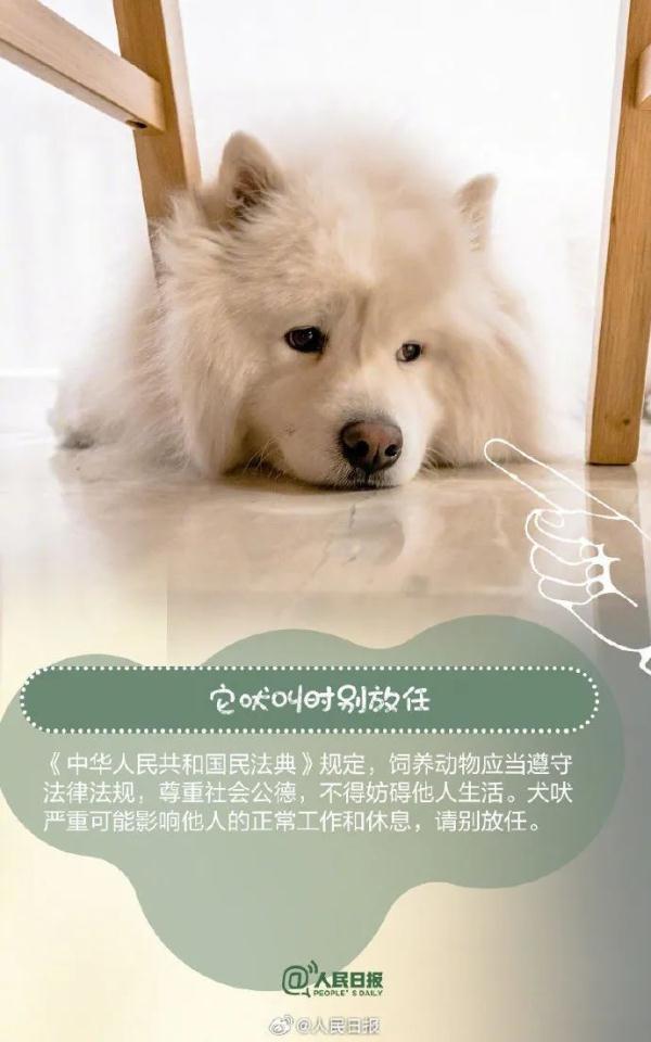 注意！这33种烈性犬，昆明禁养