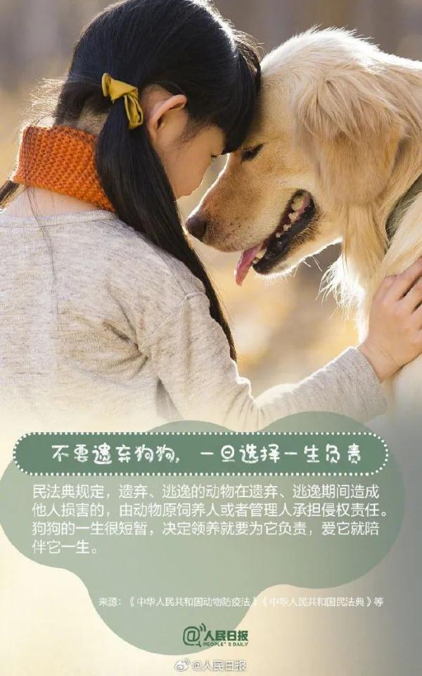 注意！这33种烈性犬，昆明禁养
