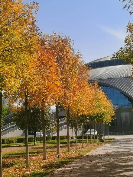 新疆的秋天，像打翻了颜料盘