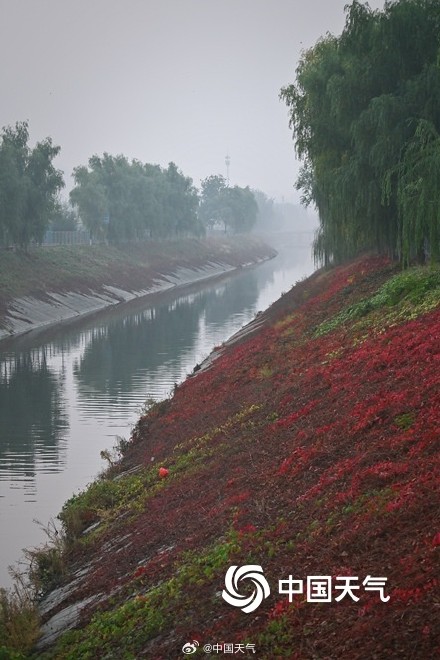 今日霜降北京天空朦胧 局地能见度不足500米
