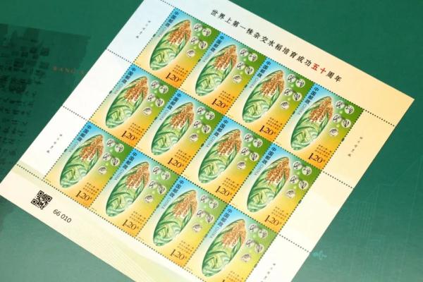 纪念“禾下乘凉梦”,广州首发! 纪念“禾下乘凉梦”,广州首发!