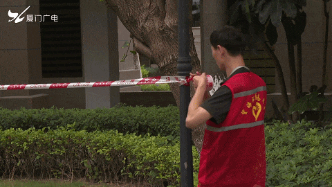 太吓人！厦门一小区惊现超大马蜂窝！还不止一个……