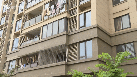 太吓人！厦门一小区惊现超大马蜂窝！还不止一个……