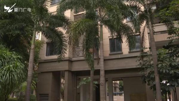 太吓人！厦门一小区惊现超大马蜂窝！还不止一个……