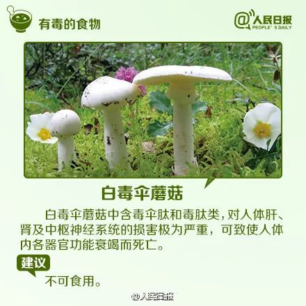 警惕“煲汤刺客”！已有5人中毒…