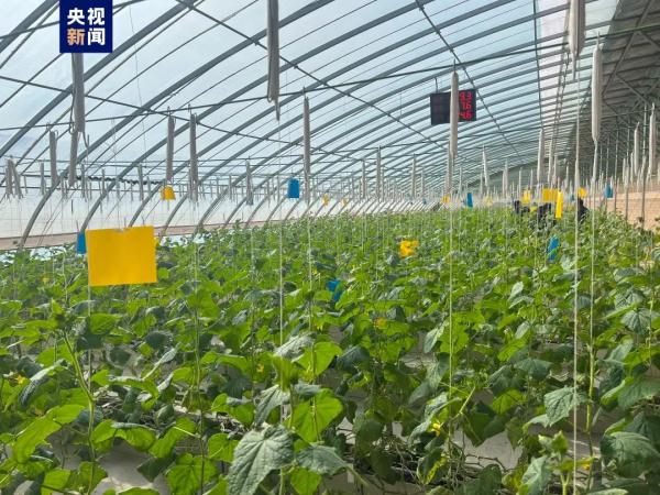 国内最长航线开通，从大湾区起飞！