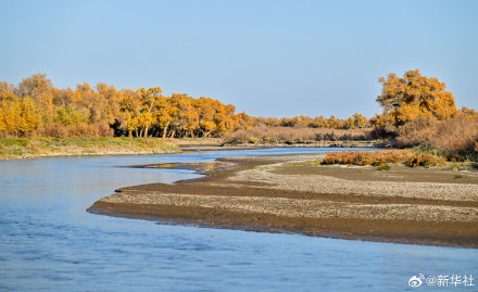 金秋额济纳胡杨美如油画
