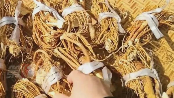 警惕“煲汤刺客”！已有5人中毒…