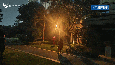 太吓人！厦门一小区惊现超大马蜂窝！还不止一个……