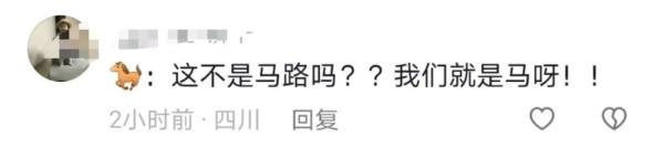 长沙西二环突现5匹马!网友:真“马”路 长沙西二环突现5匹马!网友:真“马”路