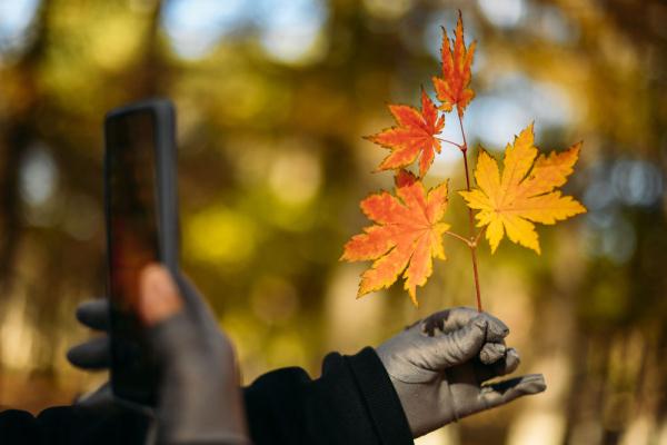 在落叶满地的街头走走,感受城市的诗意 在落叶满地的街头走走,感受城市的诗意