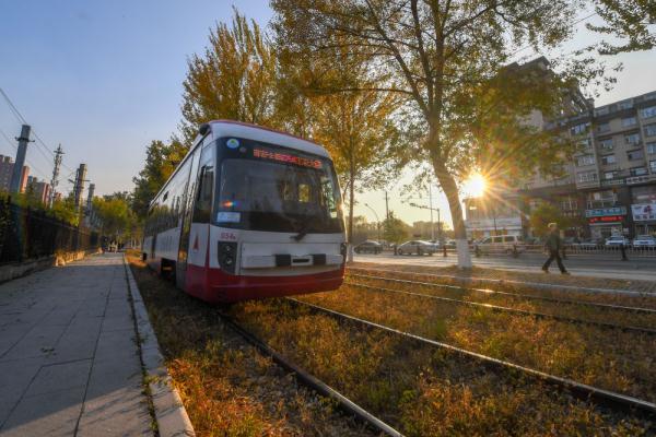 在落叶满地的街头走走,感受城市的诗意 在落叶满地的街头走走,感受城市的诗意