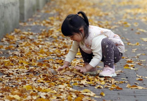 在落叶满地的街头走走,感受城市的诗意 在落叶满地的街头走走,感受城市的诗意