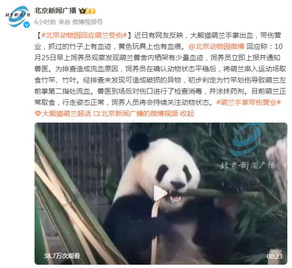 北京动物园回应萌兰受伤：初步判断伤口系竹竿划伤