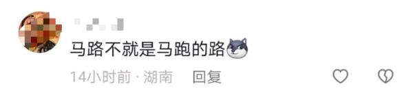 长沙西二环突现5匹马!网友:真“马”路 长沙西二环突现5匹马!网友:真“马”路