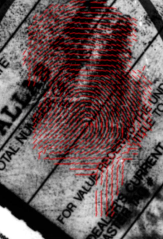 36年前的命案，破了！