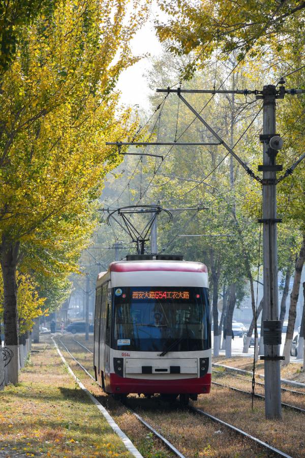 在落叶满地的街头走走,感受城市的诗意 在落叶满地的街头走走,感受城市的诗意