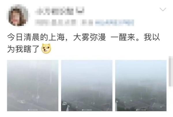 今晨，上海大雾！部分地区能见度不足100米，多条轮渡一度停航；今夜起注意空气污染