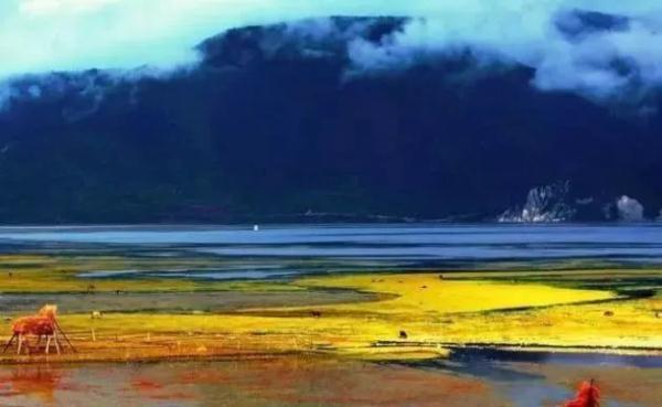 国家重要湿地名录正在公示!云南3处拟入选 国家重要湿地名录正在公示!云南3处拟入选