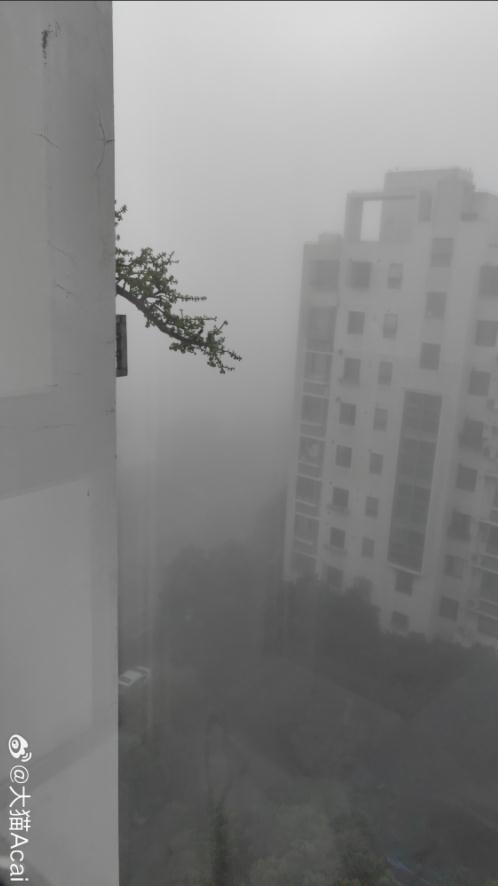 今晨上海大雾!注意:夜间PM2.5污染,降温+降雨也不远了...