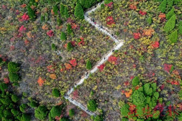 仙台山风景区位于井陉县辛庄乡,距石家庄市80多公里,为国家森林公园