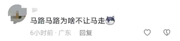 长沙西二环突现5匹马!网友:真“马”路 长沙西二环突现5匹马!网友:真“马”路