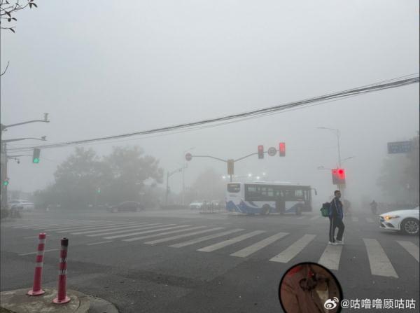 今晨上海大雾!注意:夜间PM2.5污染,降温+降雨也不远了...
