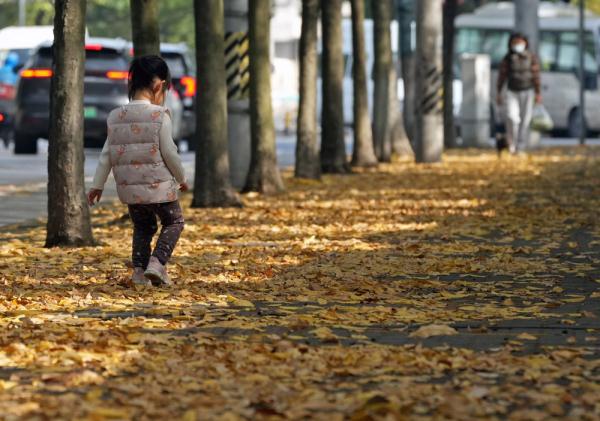 在落叶满地的街头走走,感受城市的诗意 在落叶满地的街头走走,感受城市的诗意
