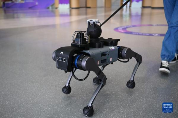 电子导盲犬亮相杭州亚残运会 电子导盲犬亮相杭州亚残运会