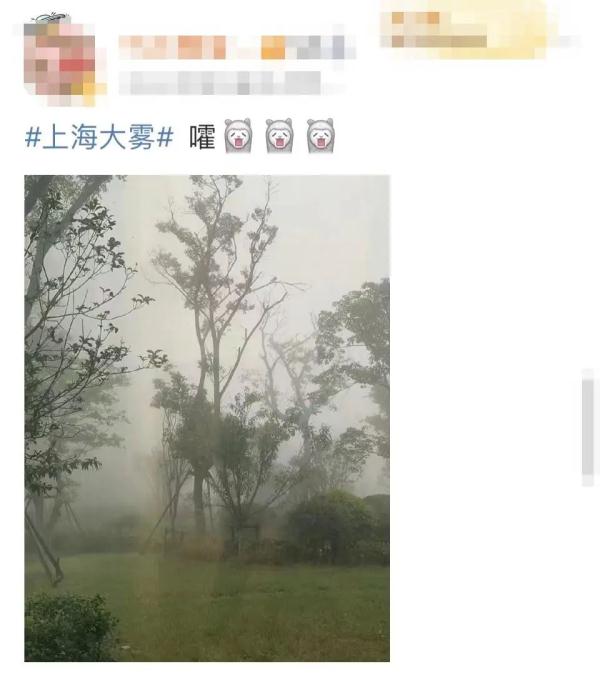 今晨，上海大雾！部分地区能见度不足100米，多条轮渡一度停航；今夜起注意空气污染