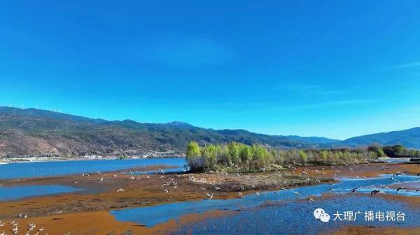 国家重要湿地名录正在公示!云南3处拟入选 国家重要湿地名录正在公示!云南3处拟入选