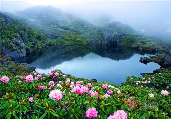 国家重要湿地名录正在公示!云南3处拟入选 国家重要湿地名录正在公示!云南3处拟入选