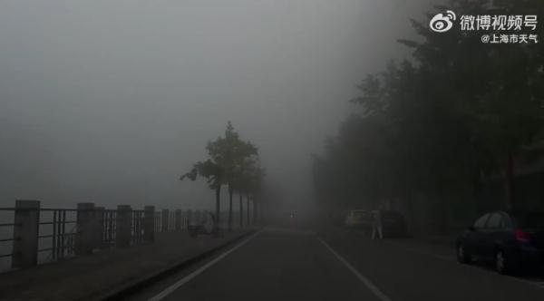 今晨，上海大雾！部分地区能见度不足100米，多条轮渡一度停航；今夜起注意空气污染