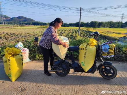 金秋十月 稻谷飘香