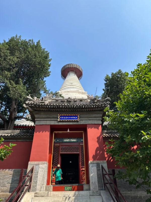 文物里的北京丨第三十七集:汉藏融合的妙应寺白塔 文物里的北京丨第三十七集:汉藏融合的妙应寺白塔