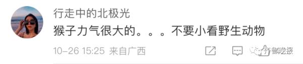 冲上热搜！3岁女孩被野猴抓走……