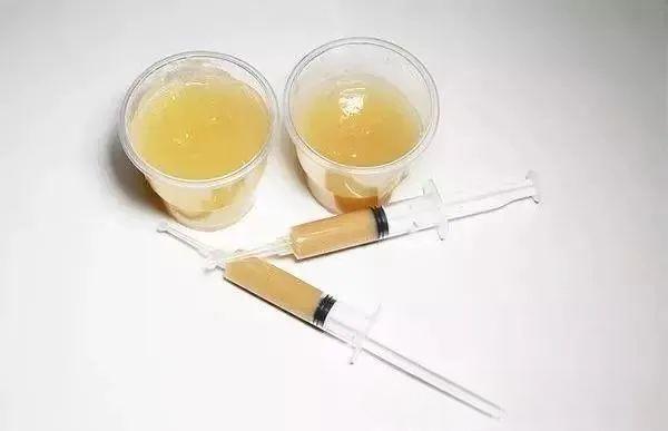 人在广东，如何与蟑螂斗智斗勇？