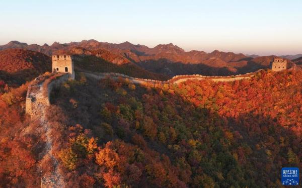 新华社记者 杨世尧 摄深秋时节,河北省秦皇岛市海港区境内的长城景区