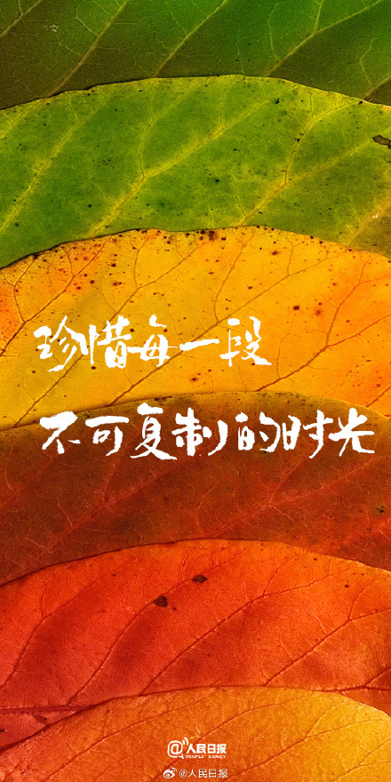 收藏秋日治愈系壁纸，愿你收获满满、好运多多