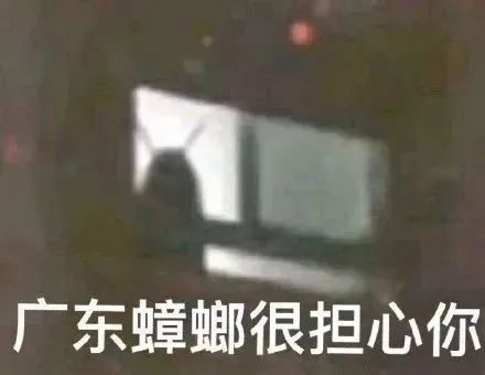 人在广东，如何与蟑螂斗智斗勇？