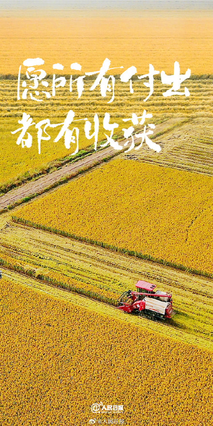收藏秋日治愈系壁纸，愿你收获满满、好运多多
