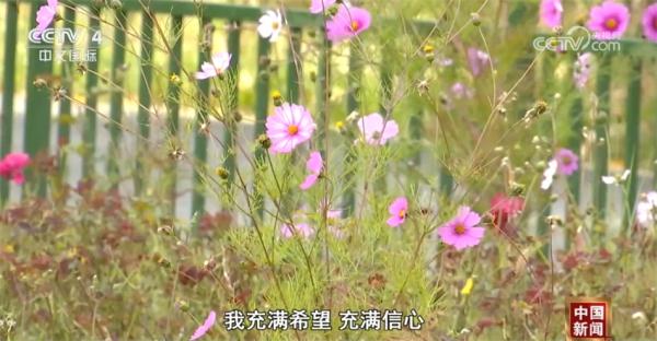 “春有花、夏有荫、秋有彩、冬有绿” 西藏规模最大造林工程方兴未艾 “春有花、夏有荫、秋有彩、冬有绿” 西藏规模最大造林工程方兴未艾