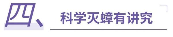 人在广东，如何与蟑螂斗智斗勇？