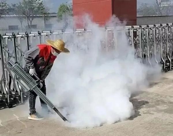 人在广东，如何与蟑螂斗智斗勇？