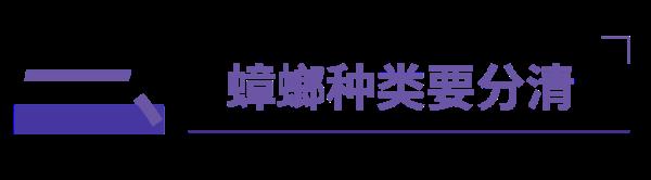 人在广东，如何与蟑螂斗智斗勇？